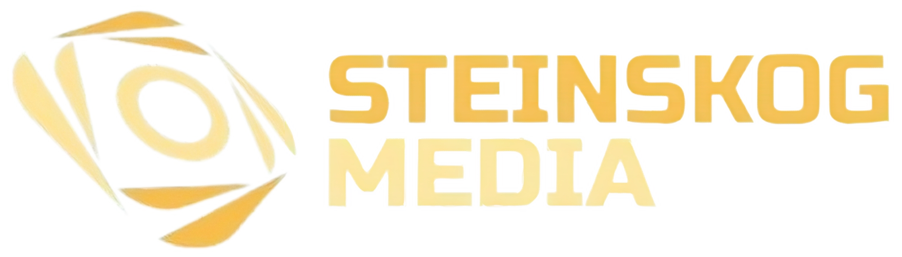 Steinskog Media